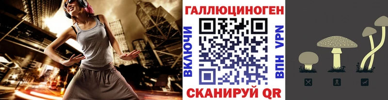 Псилоцибиновые грибы Magic Shrooms  KRAKEN ссылки  Терек 